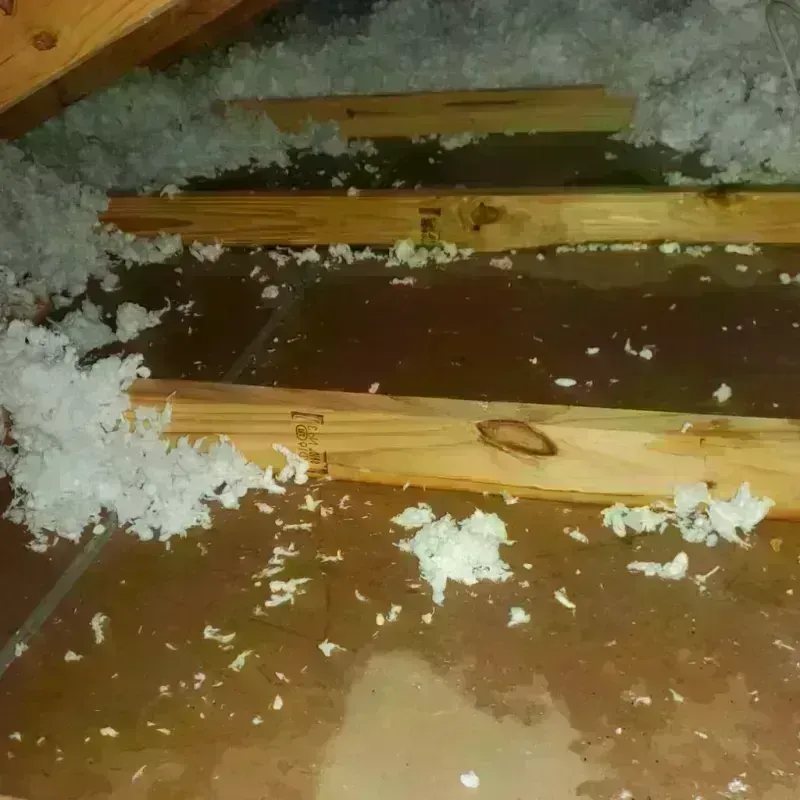 Attic Water Damage in Hutchinson County, TX