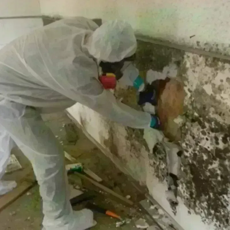 Mold Remediation and Removal in Hutchinson County, TX